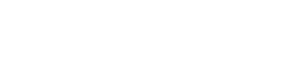 wibook